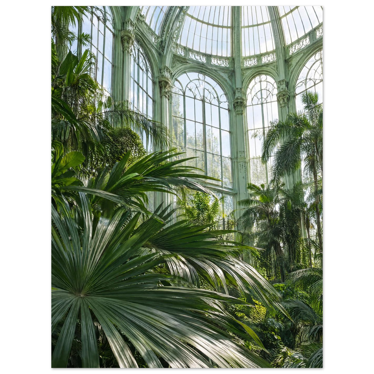 Lush palm fronds beneath tall arched windows and an ornate, pale green metal and glass roof in a sunlit glasshouse.