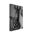 zebra art print for the living room, soft painterly artwork on matte paper