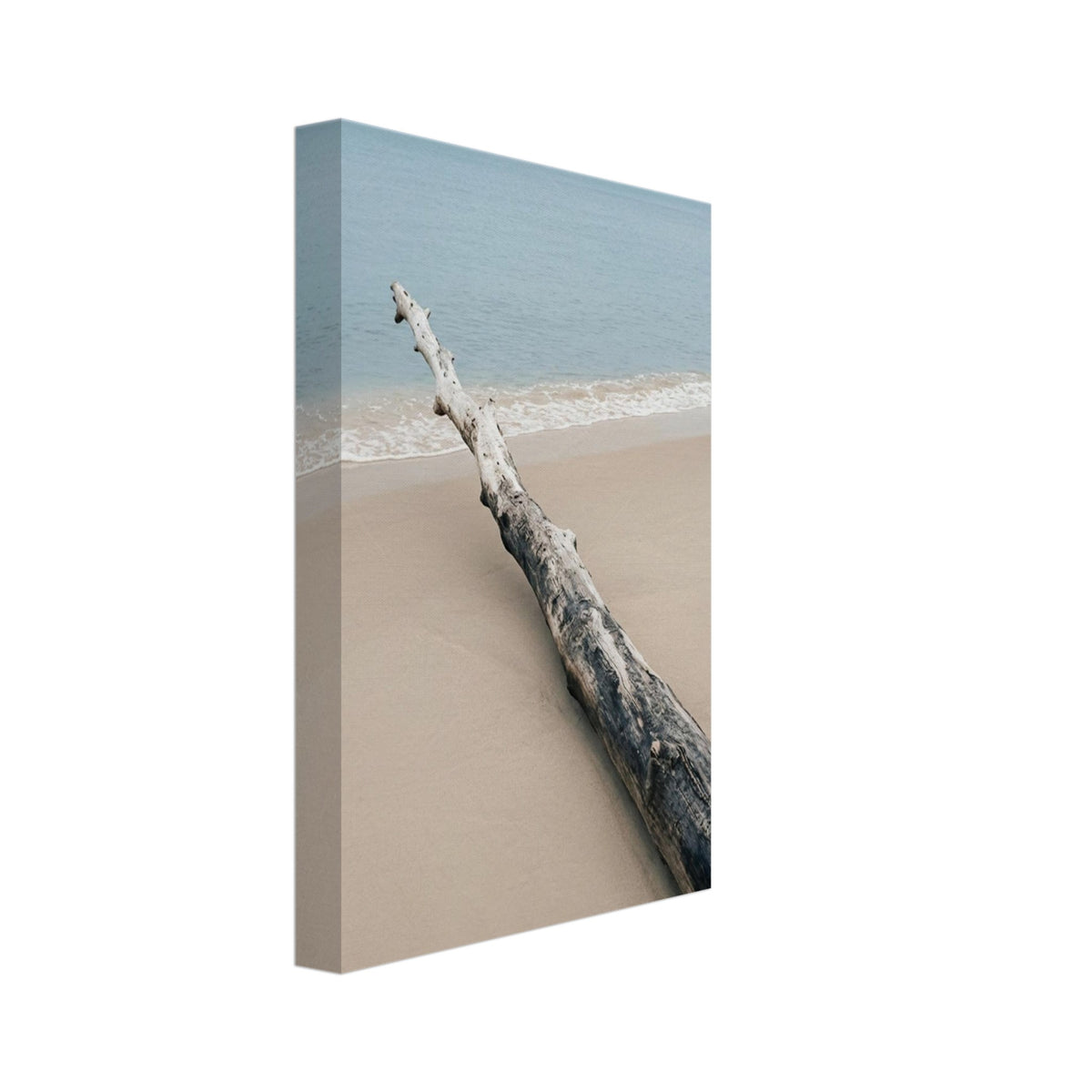 Weathered driftwood lying diagonally on beige sand beside gentle white surf, pale blue sea and an overcast sky.