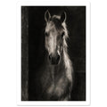 Horse in Half-Light, a frontal horse portrait emerging from a dark doorway with light tracing one ear and its mane.