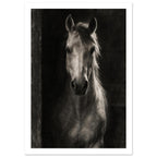 Horse in Half-Light, a frontal horse portrait emerging from a dark doorway with light tracing one ear and its mane.