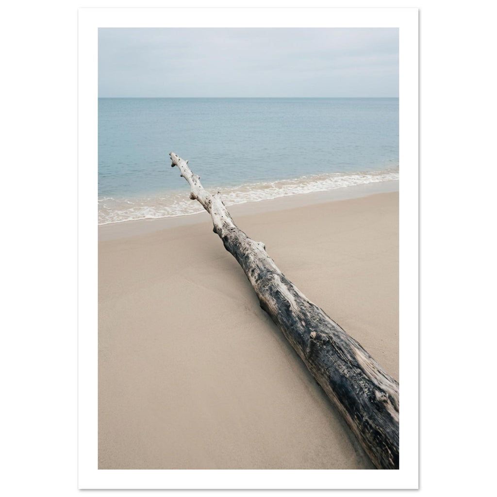 Weathered driftwood lying diagonally on beige sand beside gentle white surf, pale blue sea and an overcast sky.