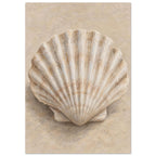 Fan-shaped scallop shell with cream ridges and brown shading on a softly textured beige background.