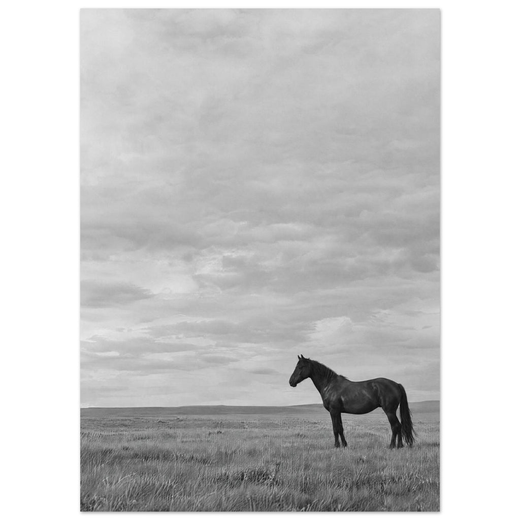 Lone dark horse standing in grass beneath an expansive cloudy sky, photographed in black and white.
