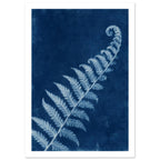 Pale blue fern frond with a curled tip extending diagonally across a textured deep blue background.