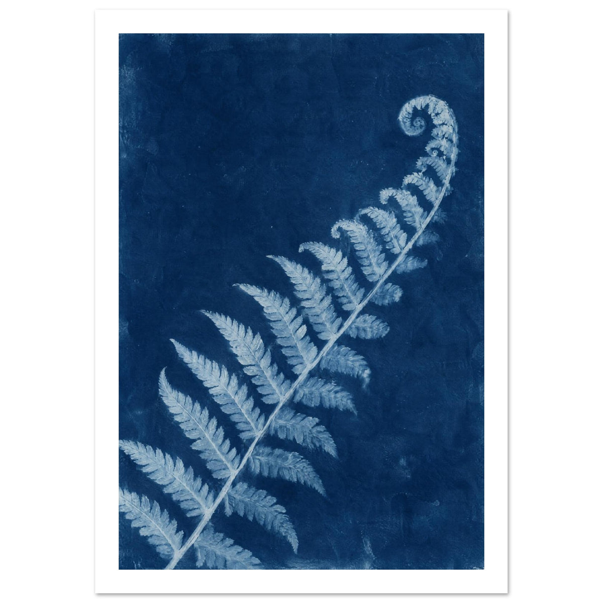 Pale blue fern frond with a curled tip extending diagonally across a textured deep blue background.