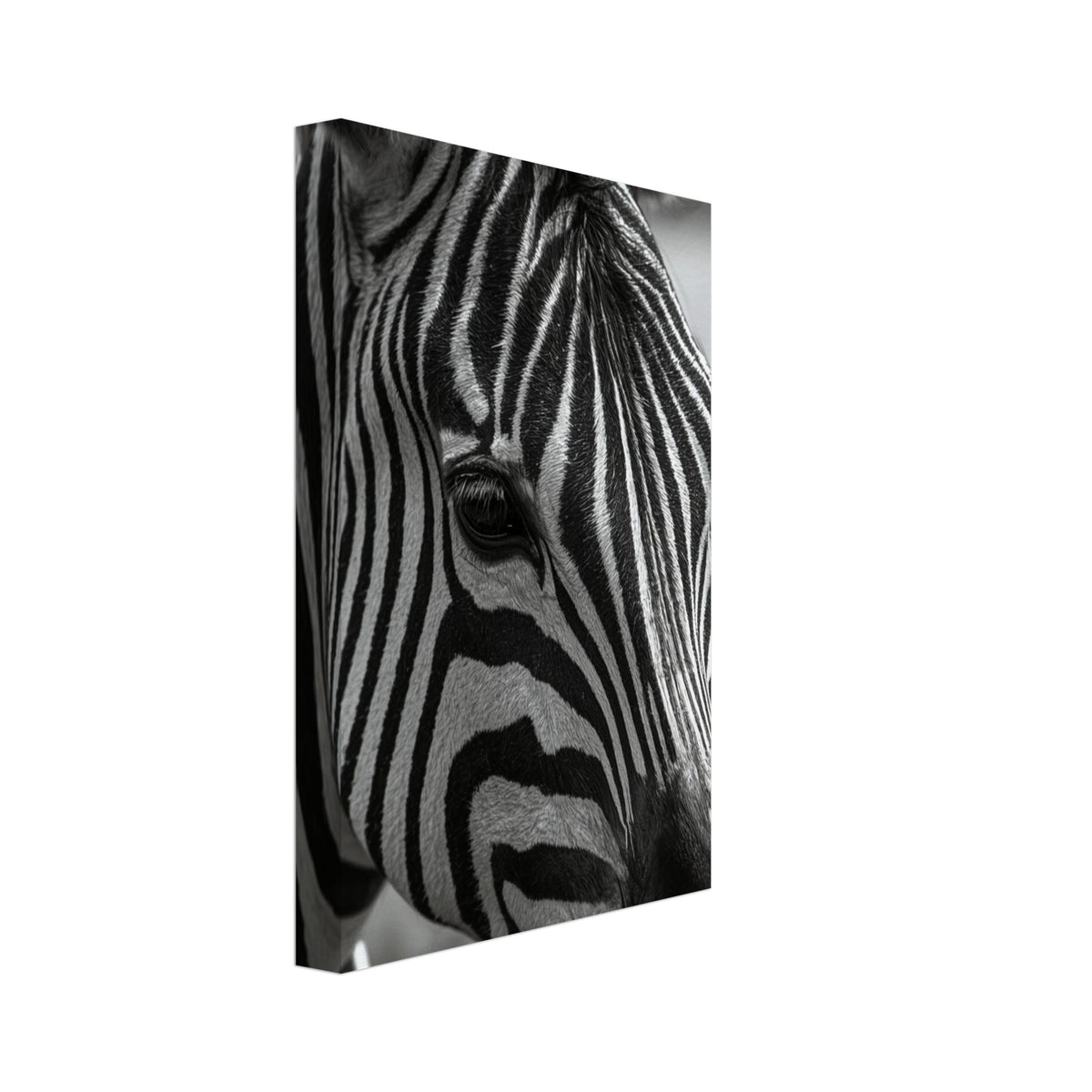 Zebra Art Print – Canvas