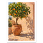 Orange tree in a terracotta pot on sunlit courtyard paving, with green foliage casting shadows on a peach wall.