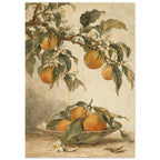 Mandarin oranges and white blossom on leafy branches above a patterned bowl of citrus fruit against a cream background.