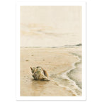 Ridged seashell on wet sand beside a curving foamy shoreline, with distant headlands beneath a pale cream sky.