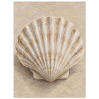 Fan-shaped scallop shell with cream ridges and brown shading on a softly textured beige background.