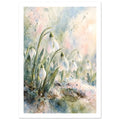 White snowdrops on curved green stems against loose watercolour washes of pale blue, pink and cream.