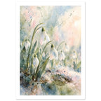 White snowdrops on curved green stems against loose watercolour washes of pale blue, pink and cream.