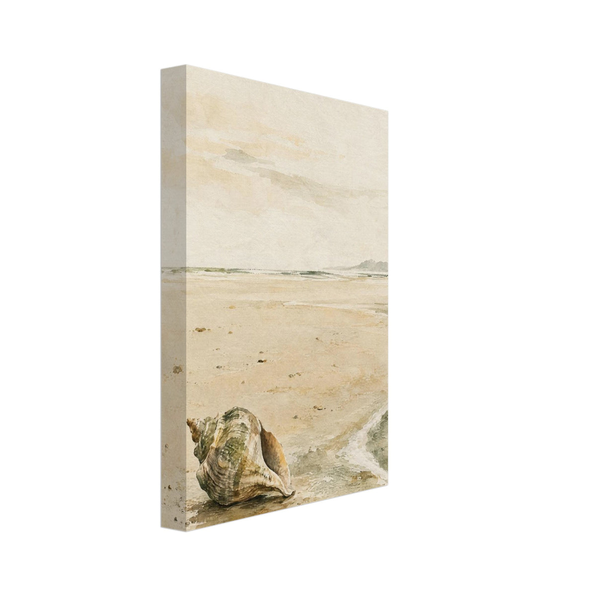 Ridged seashell on wet sand beside a curving foamy shoreline, with distant headlands beneath a pale cream sky.
