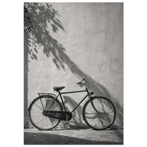 Bicycle leaning against a textured wall with long leafy shadows above and stone paving below, in black and white.
