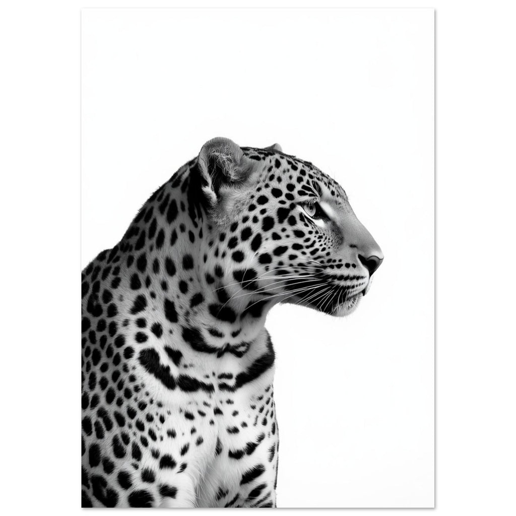 Ein Leopard im Profil zeigt detaillierte Flecken, feine Schnurrhaare und einen konzentrierten Blick vor weißem Hintergrund.