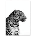 Ein Leopard im Profil zeigt detaillierte Flecken, feine Schnurrhaare und einen konzentrierten Blick vor weißem Hintergrund.