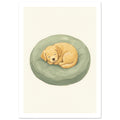Golden puppy sleeping curled up on a round sage-green cushion against a textured cream background.