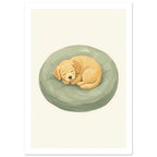 Golden puppy sleeping curled up on a round sage-green cushion against a textured cream background.