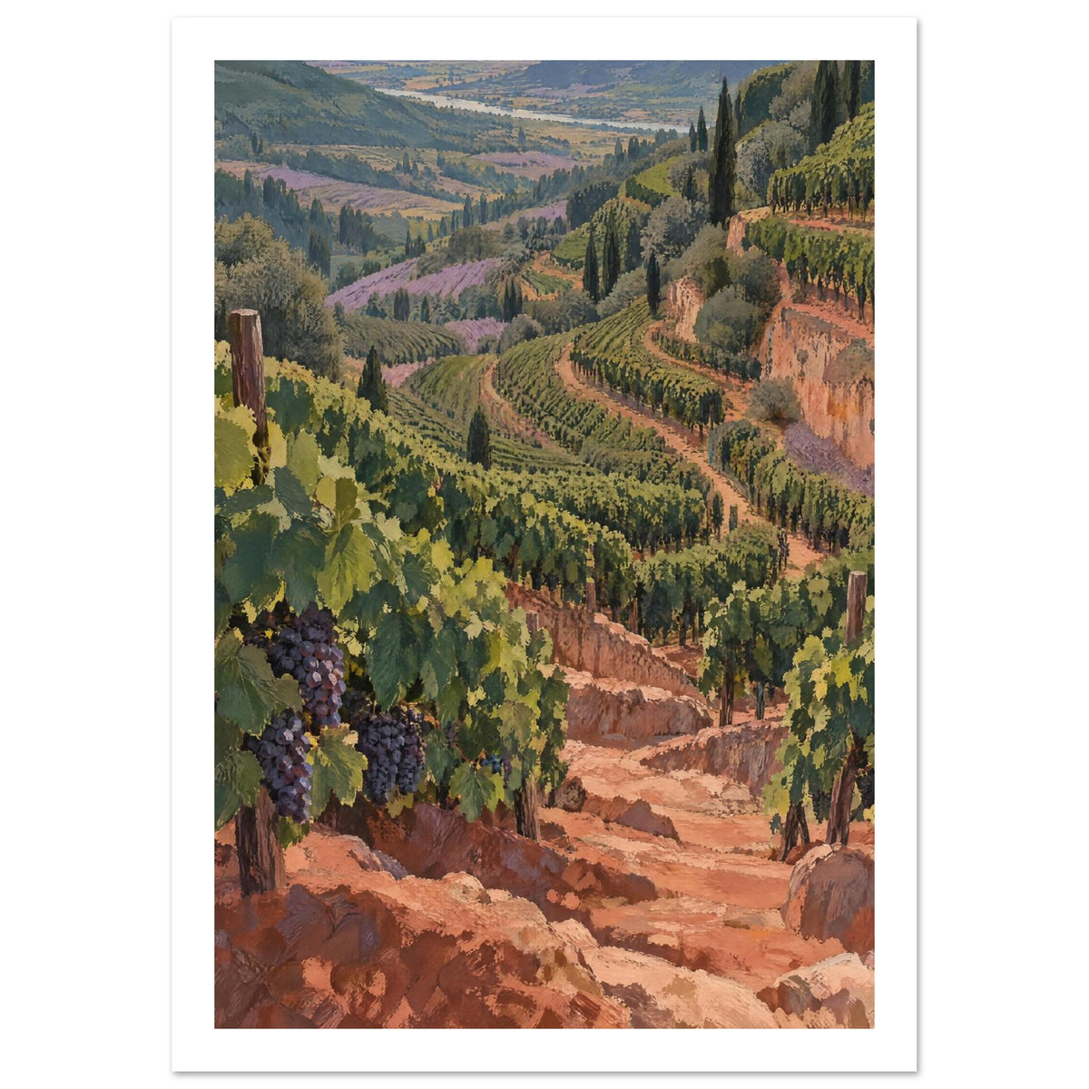 Terraced Vineyard Landscape Art Print – White Border