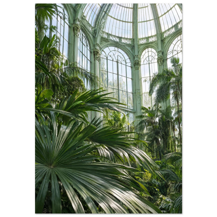 Palms