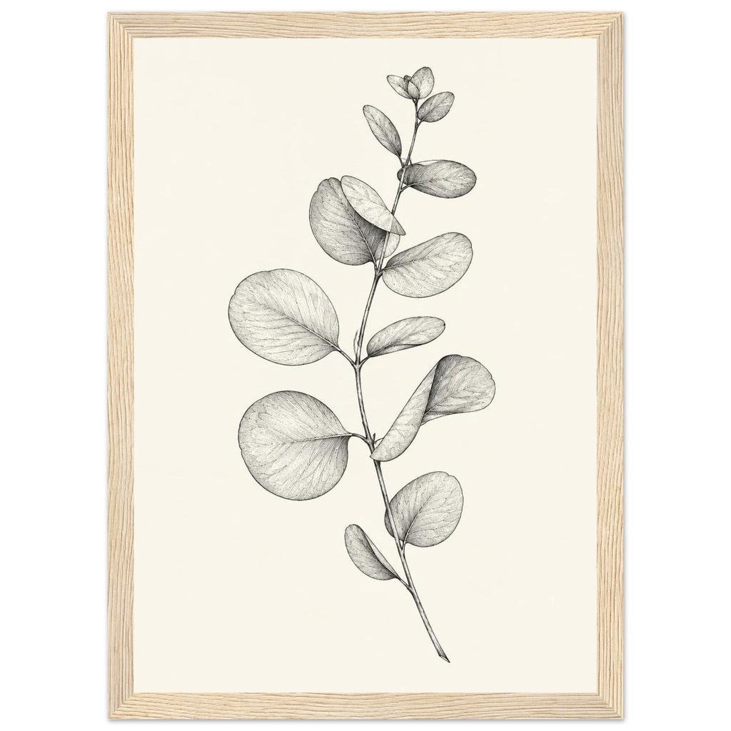 Eucalyptus stem with rounded leaves, fine veins and shaded folds drawn in black and grey on a cream background.