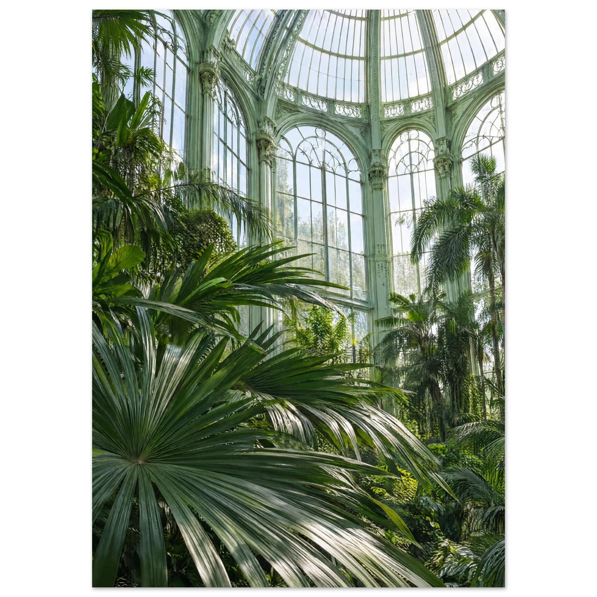 Lush palm fronds beneath tall arched windows and an ornate, pale green metal and glass roof in a sunlit glasshouse.
