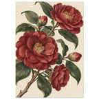 Red Camellia Botanical – botanical illustration wall art print by Printavelle – close-up