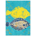 Two flat fish, one yellow and one cream with navy spots, on a textured turquoise background with orange splashes.