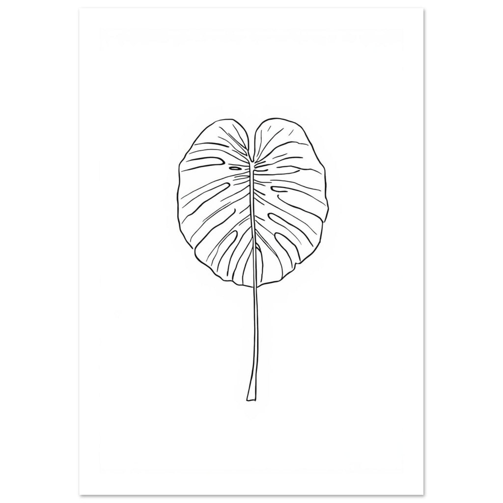 Monstera leaf outlined in fine black lines with a long slender stem, centred on a plain white background.