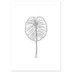 Monstera leaf outlined in fine black lines with a long slender stem, centred on a plain white background.