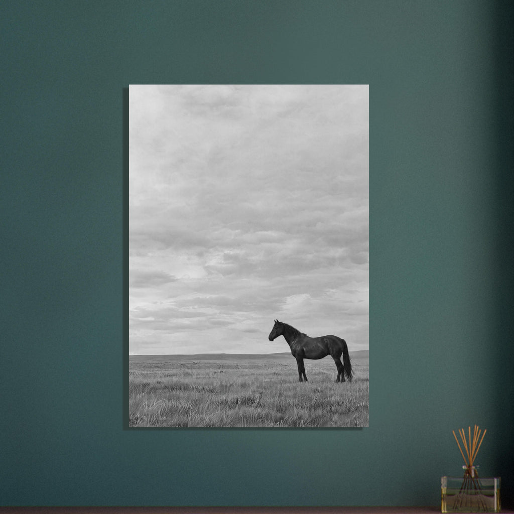 Lone dark horse standing in grass beneath an expansive cloudy sky, photographed in black and white.