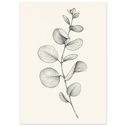 Eucalyptus stem with rounded, overlapping leaves drawn in fine black and grey lines on a plain cream background.