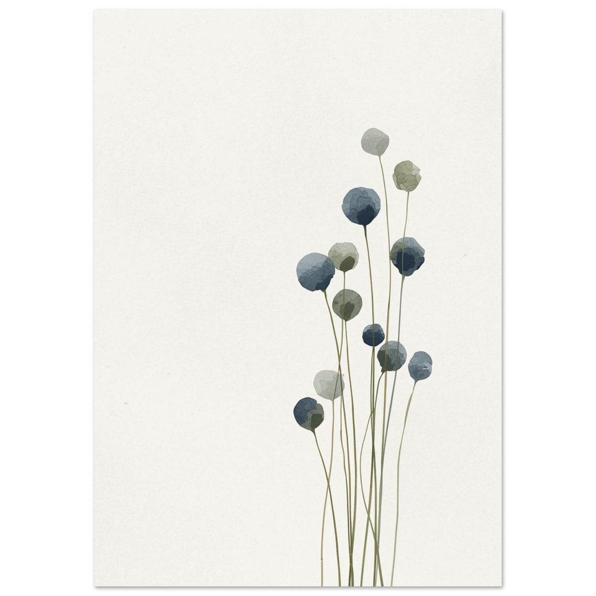 Runde blå og salviegrønne blomster sitter på tynne olivengrønne stilker mot en kremfarget bakgrunn.