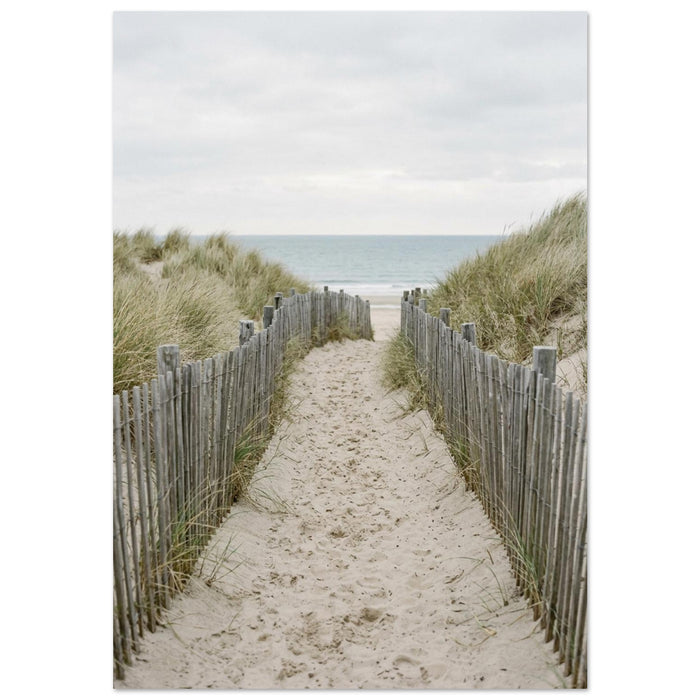Ocean & waves