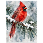 Watercolour red cardinal bird perched on a snow-covered pine branch