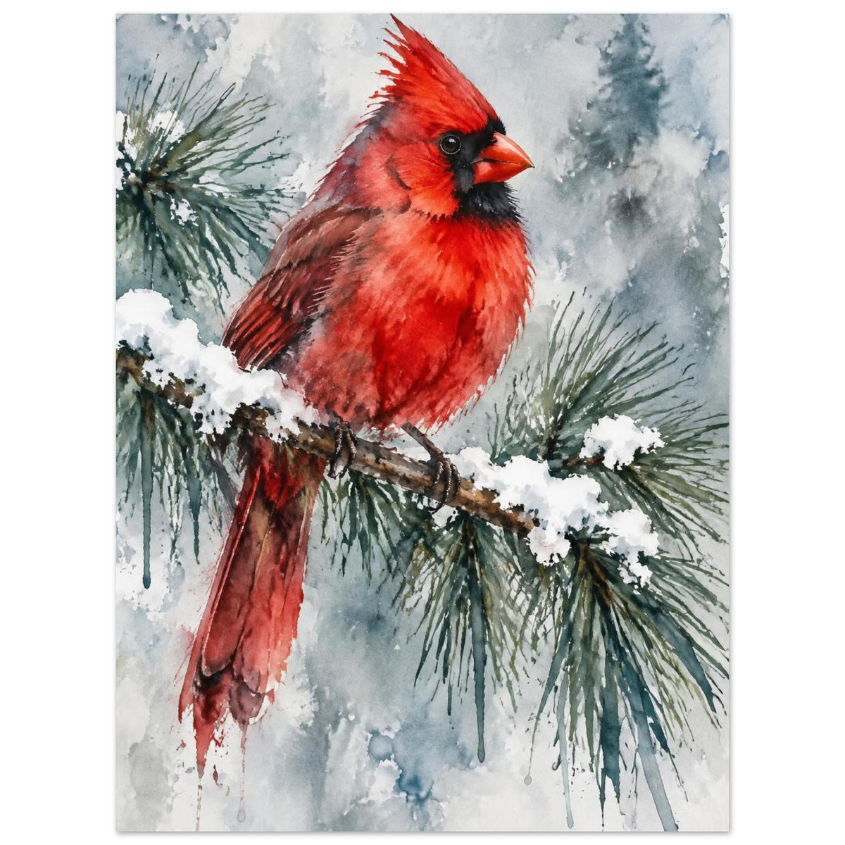 Watercolour red cardinal bird perched on a snow-covered pine branch