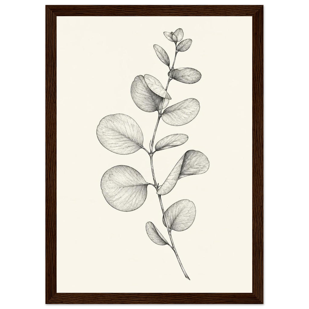 Eucalyptus stem with rounded leaves, fine veins and shaded folds drawn in black and grey on a cream background.