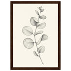 Eucalyptus stem with rounded leaves, fine veins and shaded folds drawn in black and grey on a cream background.