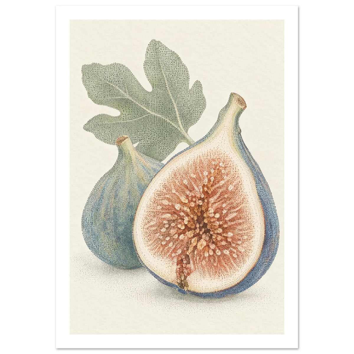 Halved fig with a terracotta centre beside a whole blue-green fig and green leaf, drawn in fine dots on cream.