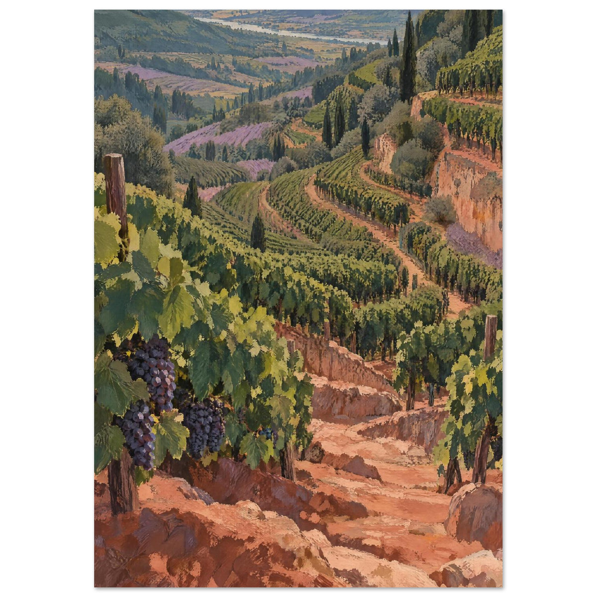 Terraced Vineyard Landscape Art Print