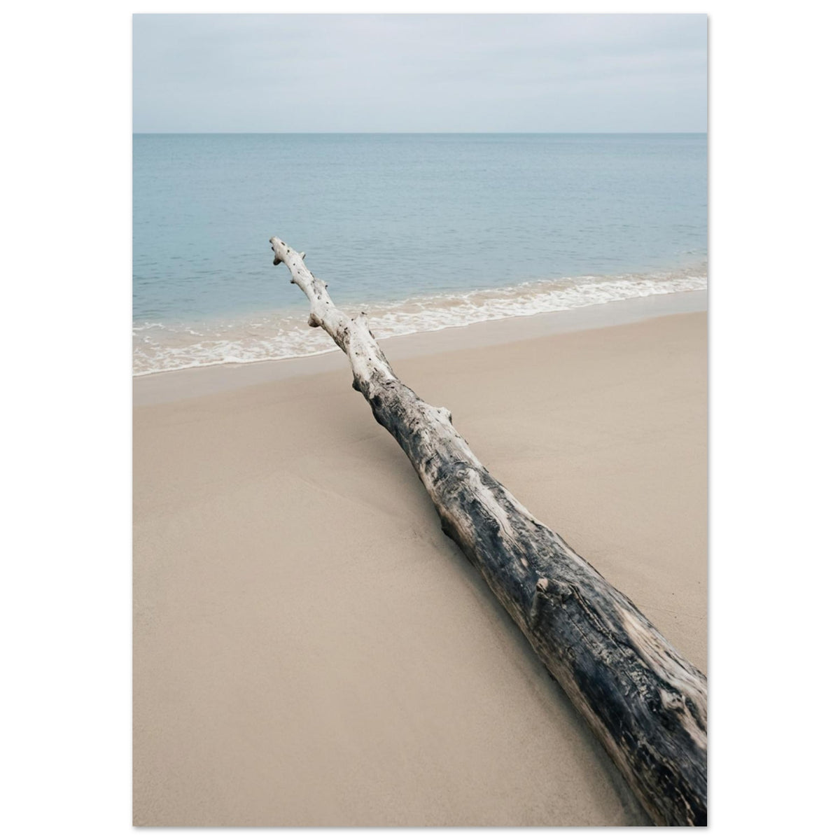 Weathered driftwood lying diagonally on beige sand beside gentle white surf, pale blue sea and an overcast sky.