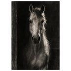 Horse in Half-Light, a frontal horse portrait emerging from a dark doorway with light tracing one ear and its mane.