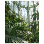 Lush palm fronds beneath tall arched windows and an ornate, pale green metal and glass roof in a sunlit glasshouse.