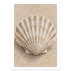 Fan-shaped scallop shell with cream ridges and brown shading on a softly textured beige background.