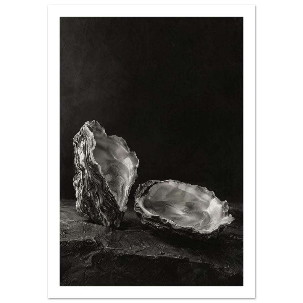 Oyster Light, two open oyster shells on dark slate with pale interiors and sharply lit ridges beneath a broad area of shadow.