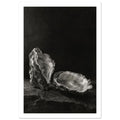 Oyster Light, two open oyster shells on dark slate with pale interiors and sharply lit ridges beneath a broad area of shadow.