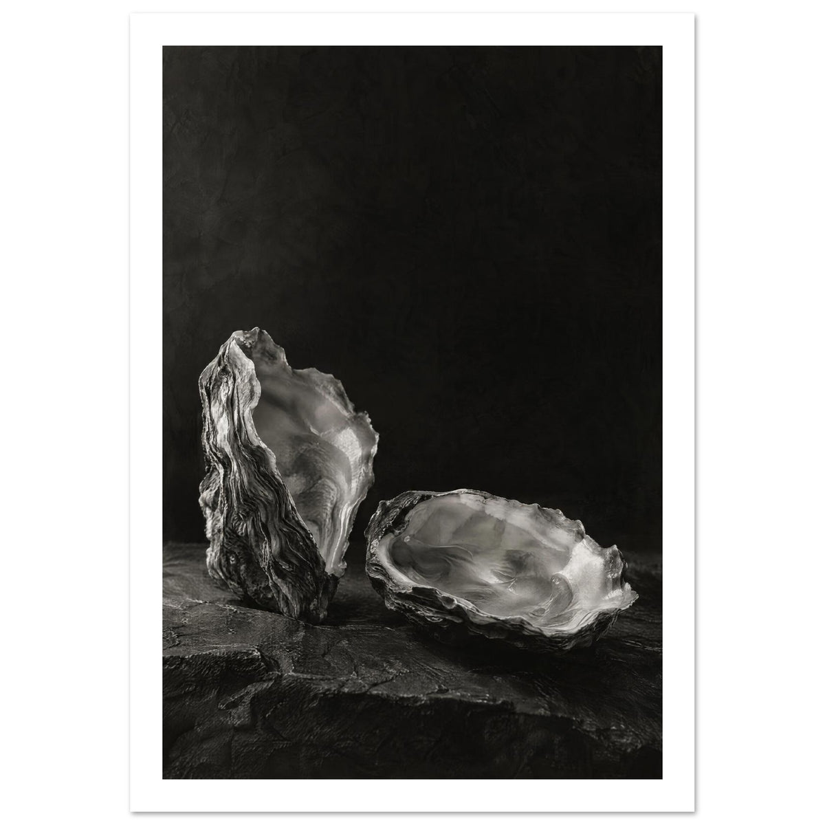 Oyster Light, two open oyster shells on dark slate with pale interiors and sharply lit ridges beneath a broad area of shadow.