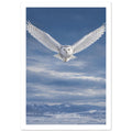 Snowy owl flying towards the viewer with wings spread against a blue, cloudy sky above snow-covered mountains.