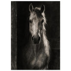 Horse in Half-Light, a frontal horse portrait emerging from a dark doorway with light tracing one ear and its mane.